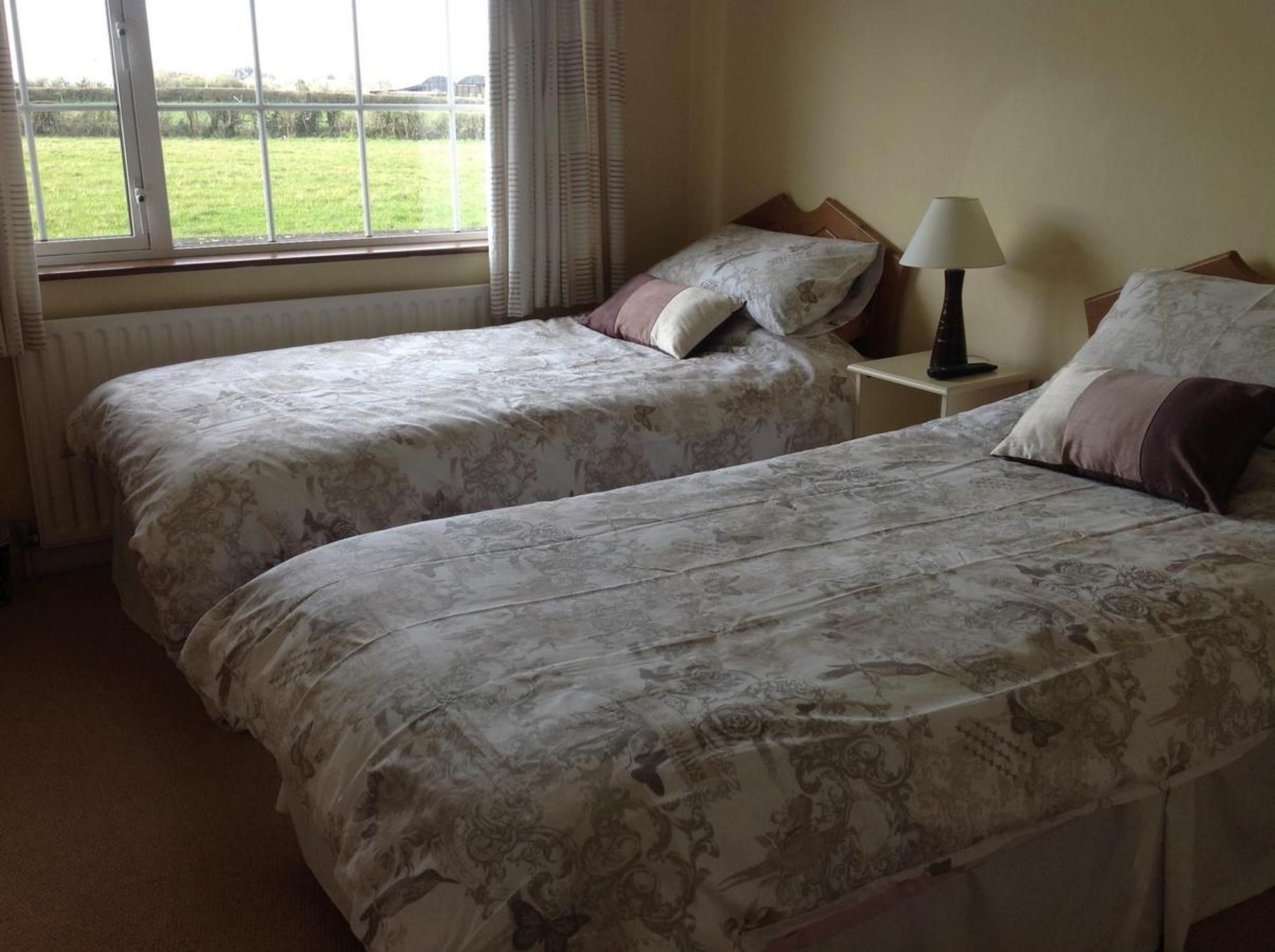 Hawthorn View Bed And Breakfast Thurles Habitación foto